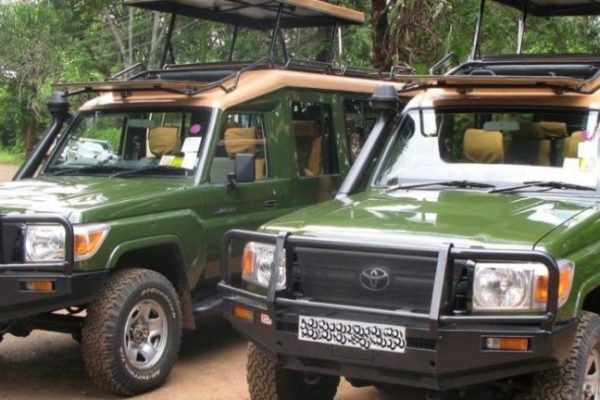 safari-landcruisers-2021-1024x432